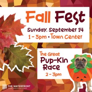 fallfest
